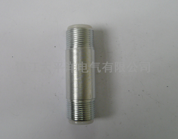 �����p�^�̹�